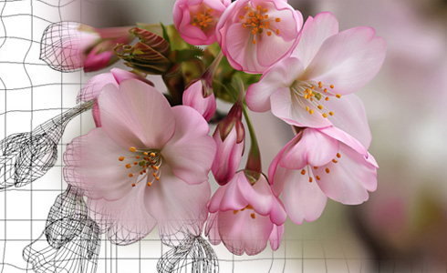 spring-flowers.jpg